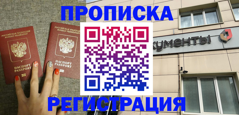 прописка в Шебекино